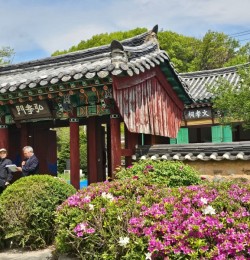 2026년 시조 문효공 춘향…
